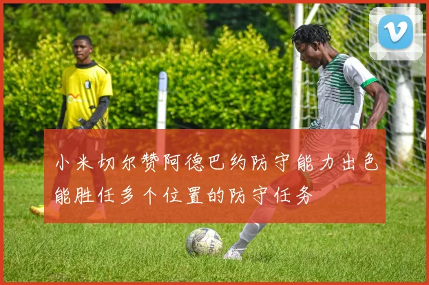 小米切尔赞阿德巴约防守能力出色能胜任多个位置的防守任务