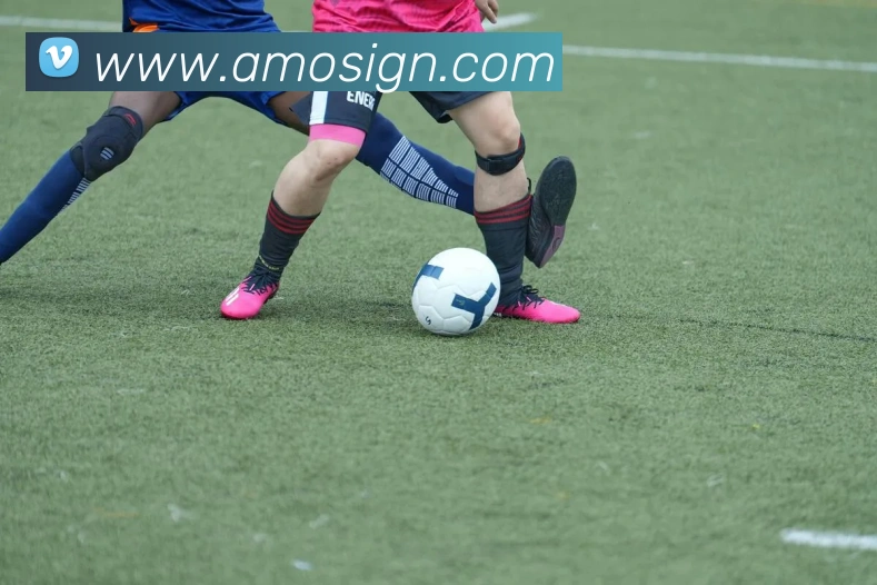互动解说服务